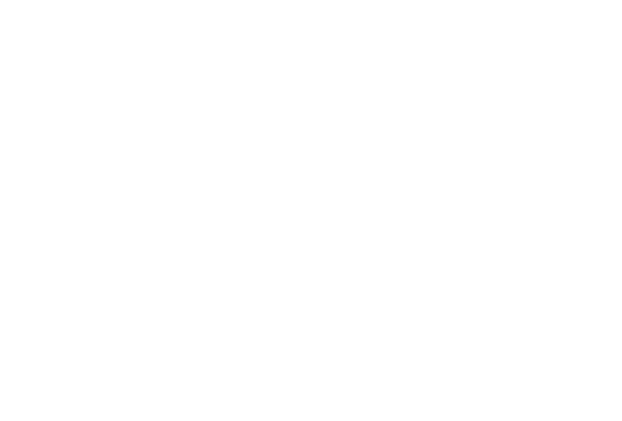 Beer Bitches